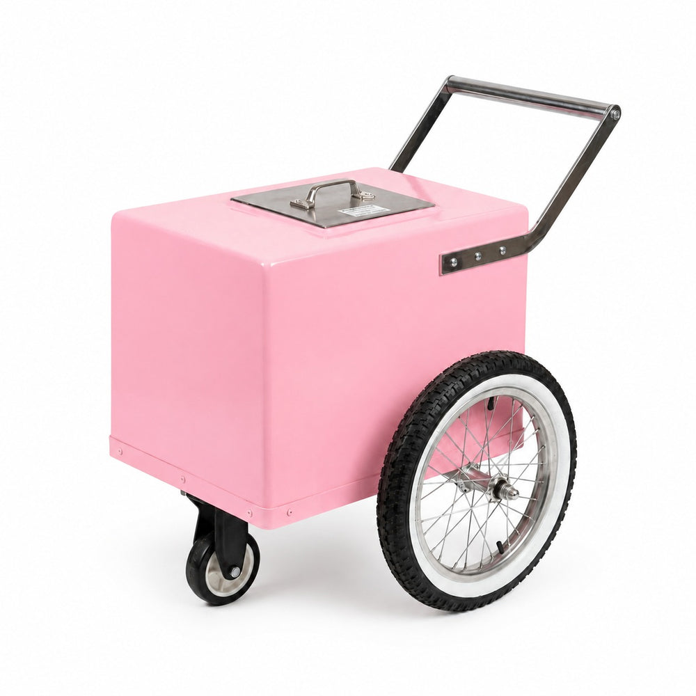 CARRITO PALETERO MICRO CON LLANTA DE BICICLETA (COLORES)